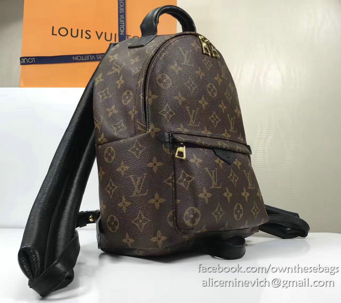 Louis Vuitton Monogram Canvas Palm Springs Backpack PM M41560