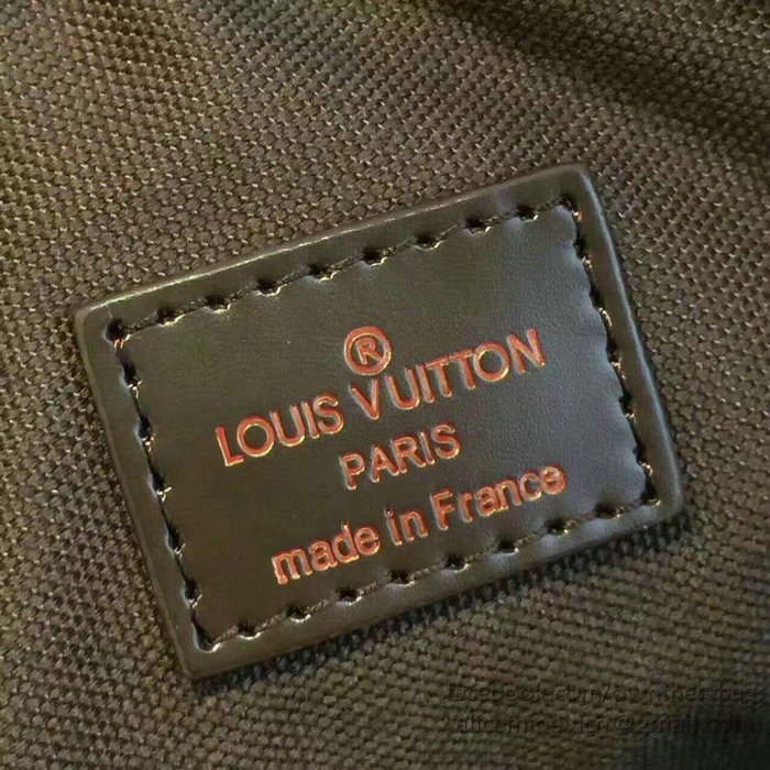 Louis Vuitton Damier Ebene Canvas Beaubourg Bag N41135