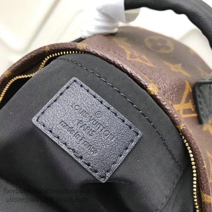 Louis Vuitton Family Print Palm Springs Backpack Mini M41562