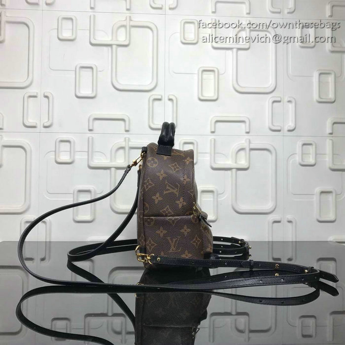 Louis Vuitton Dog Print Palm Springs Backpack Mini M41562
