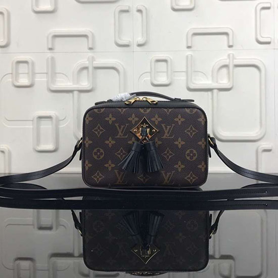 Louis Vuitton Monogram Canvas Camera Case Bag Black M44258