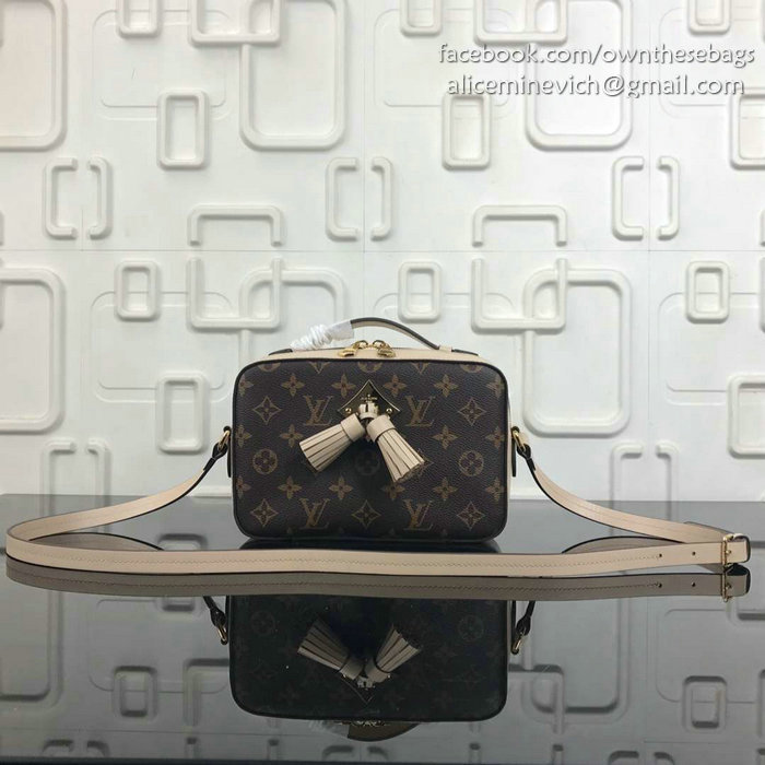 Louis Vuitton Monogram Canvas Camera Case Bag Grey M44258