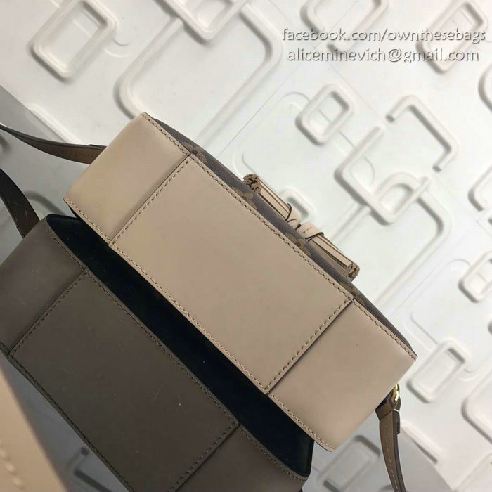 Louis Vuitton Monogram Canvas Camera Case Bag Grey M44258