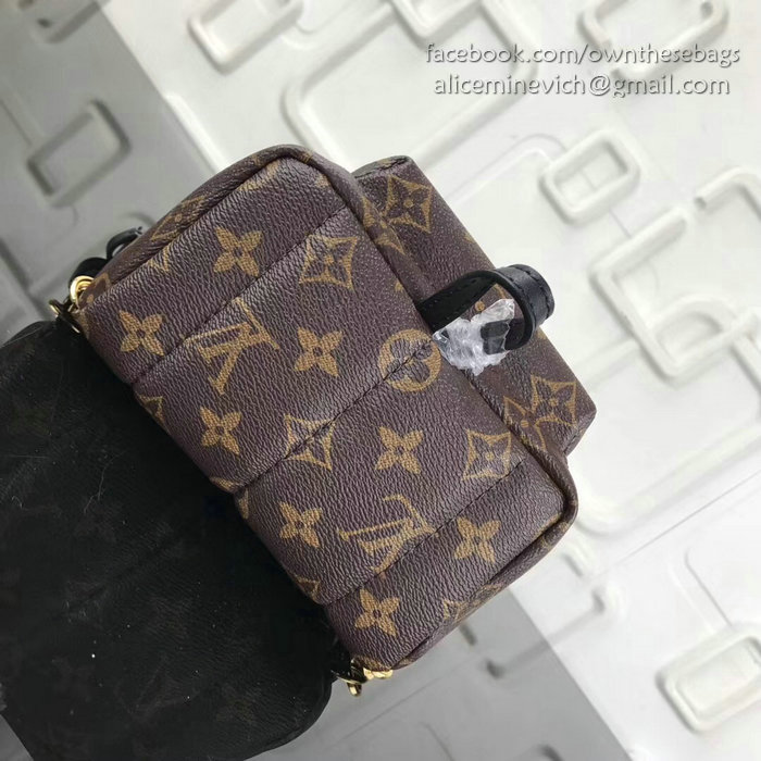 Louis Vuitton Monogram Reverse Canvas Palm Springs Backpack Mini M41562