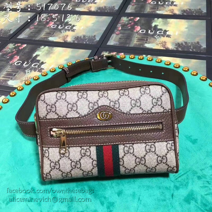 Gucci Ophidia GG Supreme Small Belt Bag 517076
