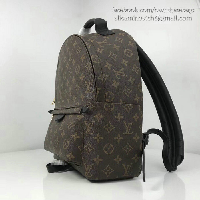 Louis Vuitton Palm Springs Backpack MM M41561