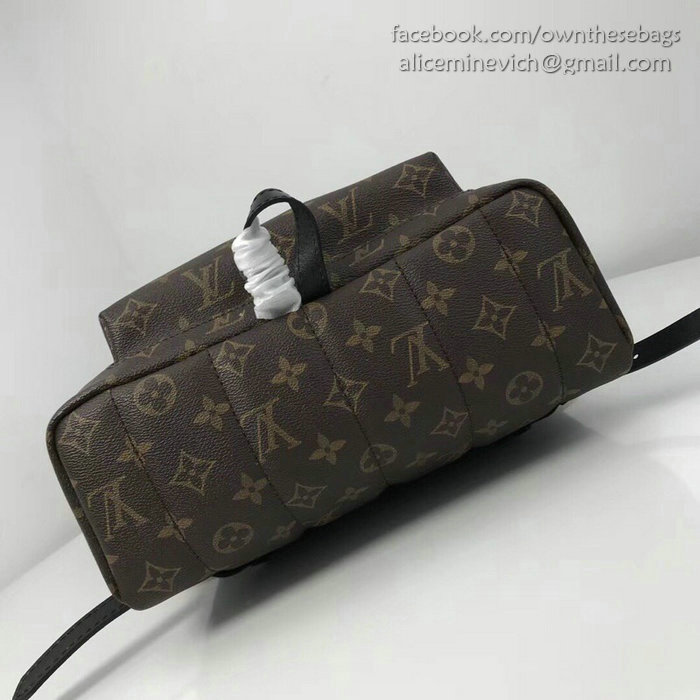 Louis Vuitton Palm Springs Backpack MM M41561