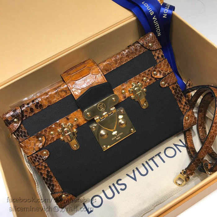 Louis Vuitton Petite Malle N94723
