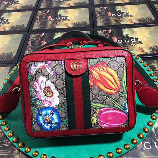 Gucci Ophidia GG Flora Small Shoulder Bag Red 550622