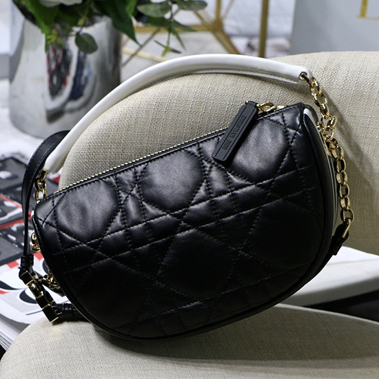 Small Dior Vibe Hobo Bag Black DM8022